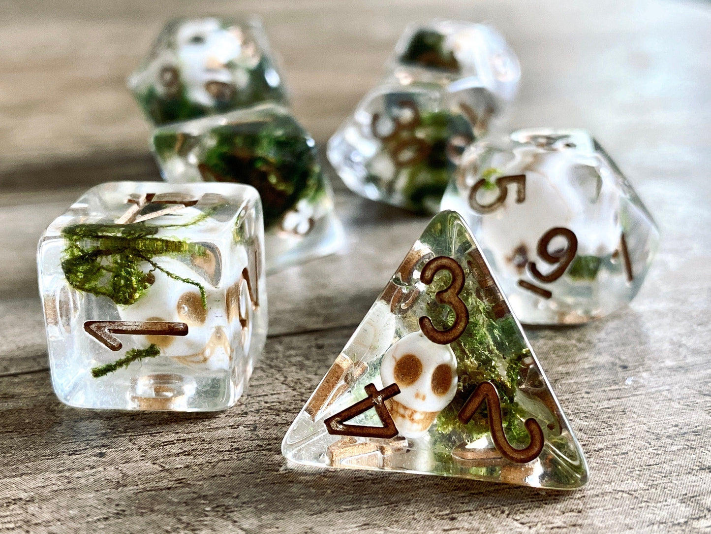 The Crooked Tavern Dice Sets Undead Skull RPG Dice Set | Skulls and Real Moss Inside!