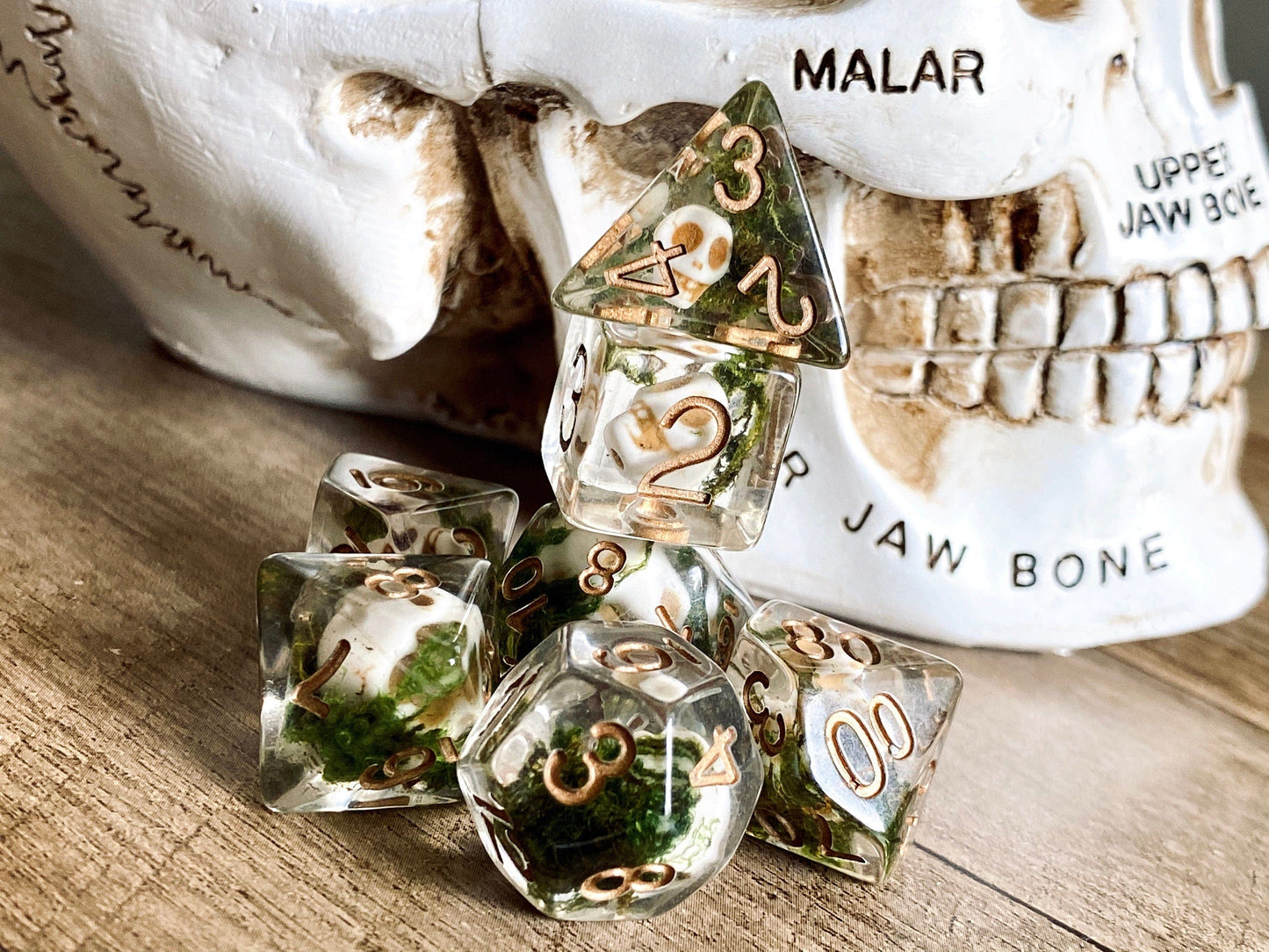The Crooked Tavern Dice Sets Undead Skull RPG Dice Set | Skulls and Real Moss Inside!
