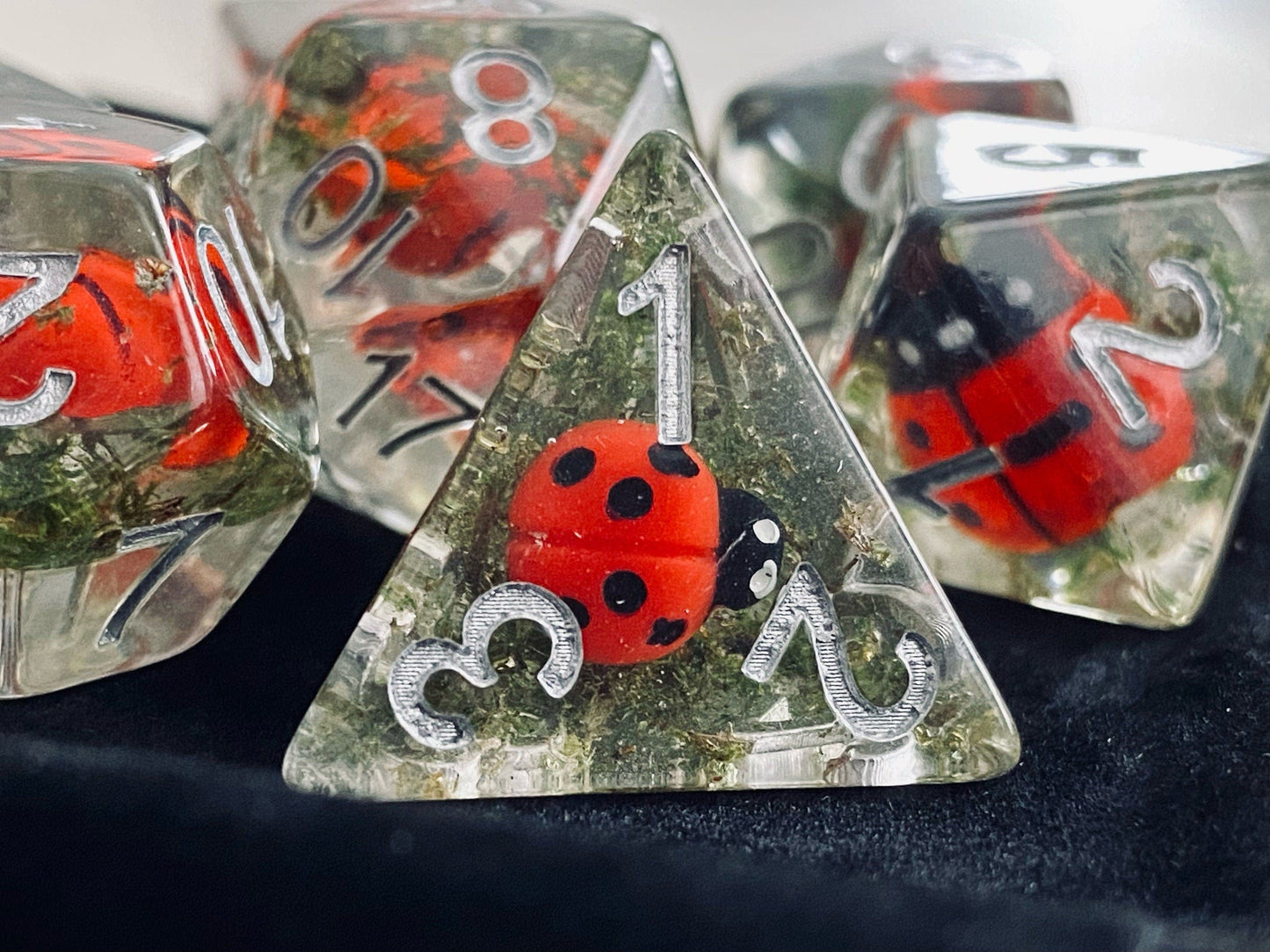 The Crooked Tavern Dice Sets Ladybug RPG Dice Set | Little Ladybugs and Real Moss Inside!