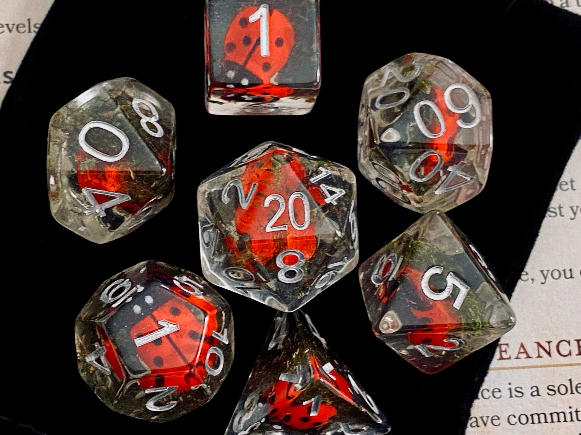 The Crooked Tavern Dice Sets Ladybug RPG Dice Set | Little Ladybugs and Real Moss Inside!