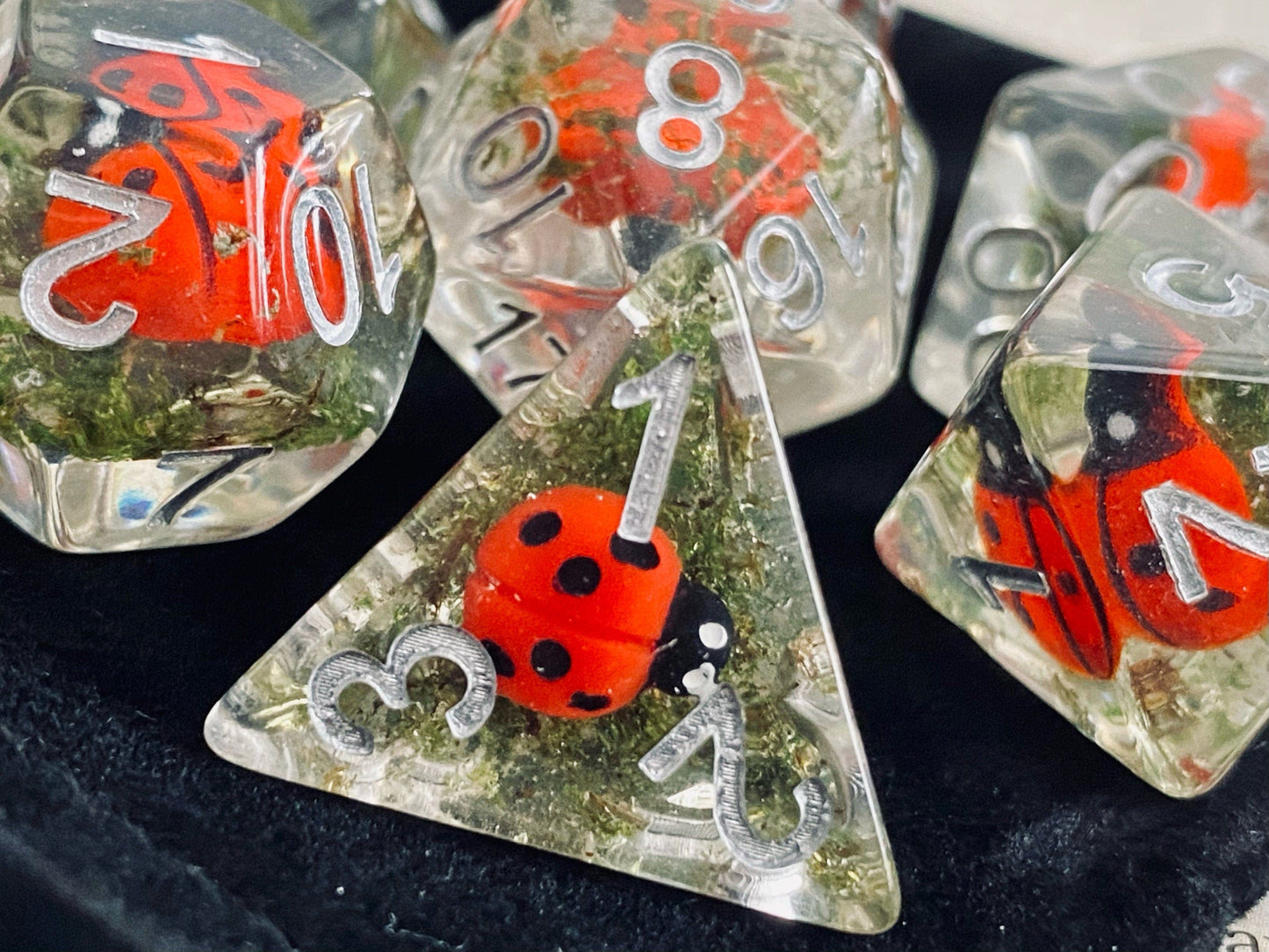 The Crooked Tavern Dice Sets Ladybug RPG Dice Set | Little Ladybugs and Real Moss Inside!