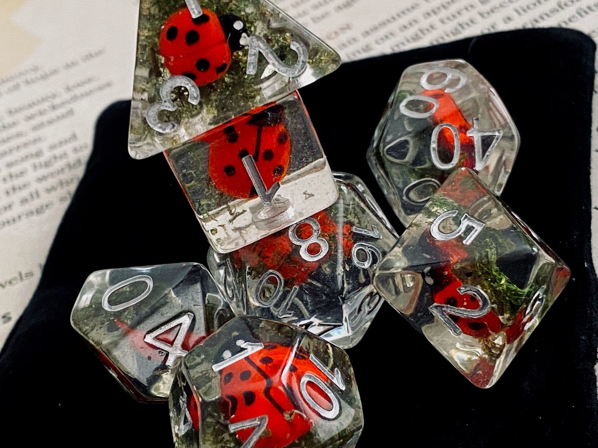 The Crooked Tavern Dice Sets Ladybug RPG Dice Set | Little Ladybugs and Real Moss Inside!